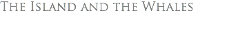 The Island and the Whales 